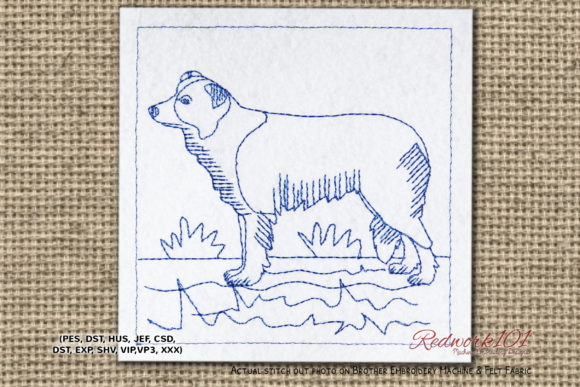 Border Collie Dog Design: A Perfect Seasonal Addition