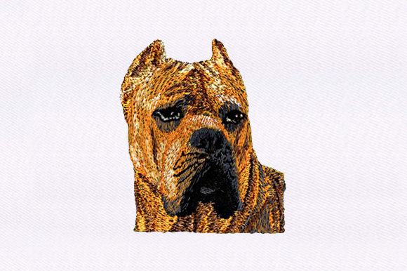 Brown Dog: A Charming Addition to Your Apparel