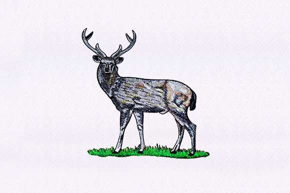 White Tailed Deer Design: A Premium Embroidery Choice